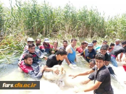 اعزام اردو جهادی دانشجو معلمان دانشگاه فرهنگیان استان فارس در مناطق آسیب دیده از قبیل:شوشتر،اهواز و  دارخوین 2