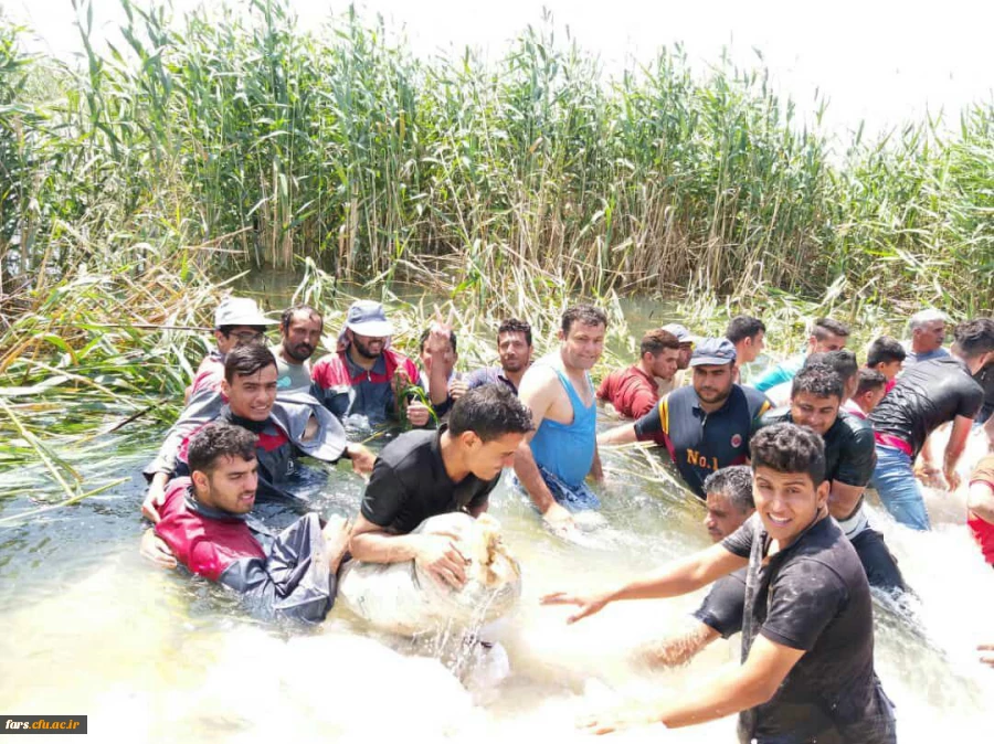 اعزام اردو جهادی دانشجو معلمان دانشگاه فرهنگیان استان فارس در مناطق آسیب دیده از قبیل:شوشتر،اهواز و  دارخوین 2