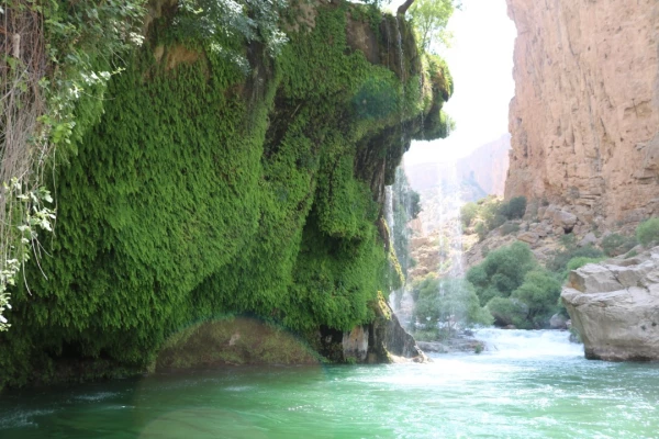 اردوی یک روزه روسای پردیس ها و کارکنان دانشگاه فرهنگیان فارس  به شهر اقلید برگزار شد  5