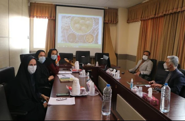 برگزاری جشنواره غذای سالم در دانشگاه فرهنگیان فارس 4