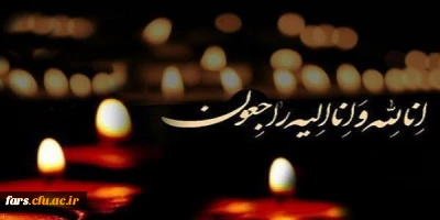 انا لله و انا الیه راجعون
استاد و برادر گرامی جناب محمد رضا صالحی