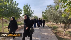 برگزاری همایش پیاده روی و همایش کوه پیمایی در پردیس ها و مراکز استان فارس به مناسبت هفته تربیت بدنی 9