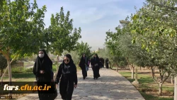 برگزاری همایش پیاده روی و همایش کوه پیمایی در پردیس ها و مراکز استان فارس به مناسبت هفته تربیت بدنی 10