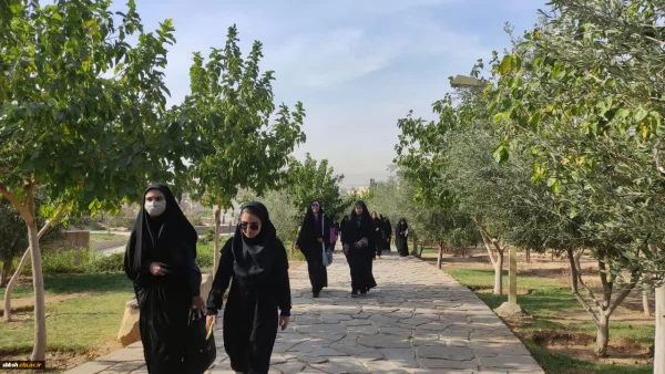 برگزاری همایش پیاده روی و همایش کوه پیمایی در پردیس ها و مراکز استان فارس به مناسبت هفته تربیت بدنی 10