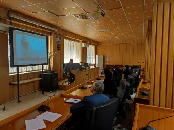  آغاز داوری مقدماتی جشنواره الگوهای برتر تدریس در دانشگاه فرهنگیان استان فارس 3