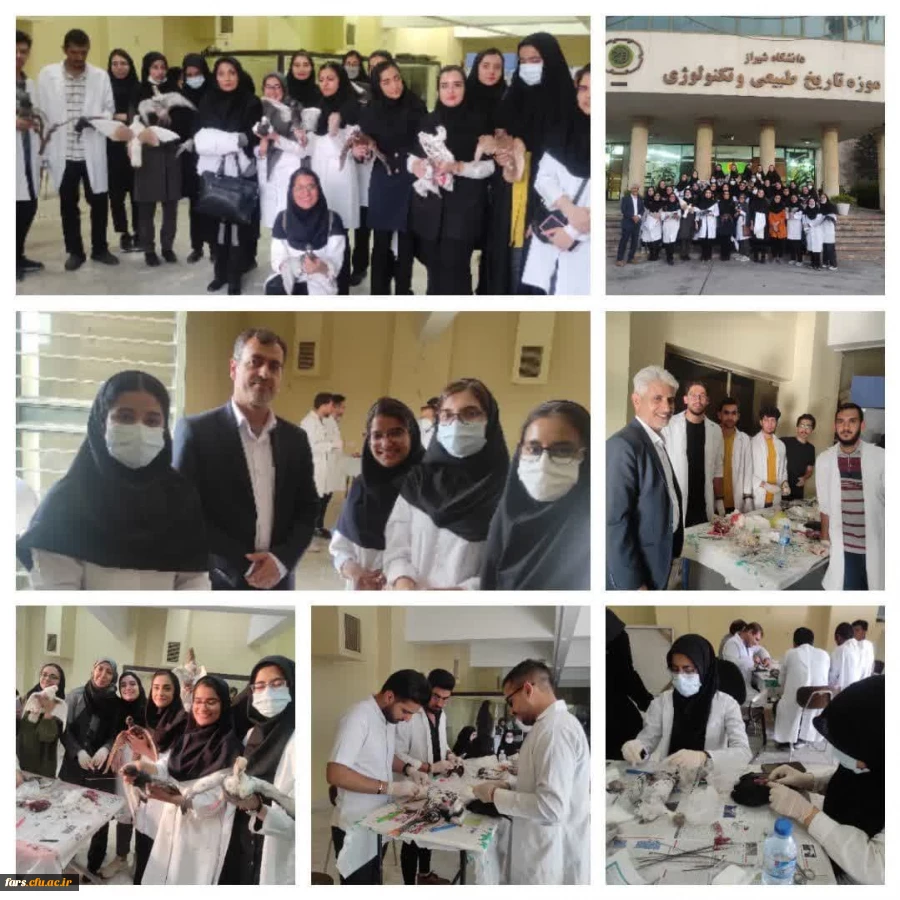 برگزاری کارگاه تاکسیدرمی در موزه تاریخ طبیعی و تکنولوژی شیراز 2