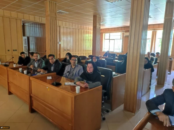 برگزاری کارگاه های حضوری(پژوهشی) ویژه اعضای هیئت علمی استان های فارس و بوشهر و کهکیلویه و بویراحمد در واحد دانشگاهی سلمان فارسی شیراز 2