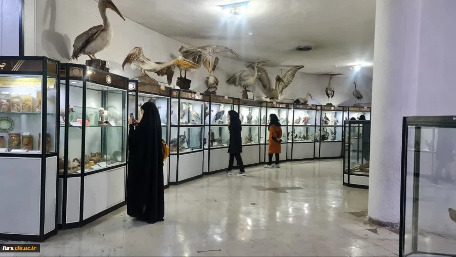 بازدید از موزه تاریخ طبیعی