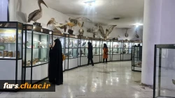 بازدید از موزه تاریخ طبیعی