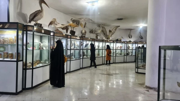 بازدید از موزه تاریخ طبیعی 