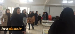 ژوژمان پایانی دانشجو معلمان رشته هنر پردیس شهید باهنر فارس 2