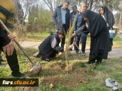 گزارش تصویری  پیاده روی کارکنان پردیس شهید رجایی، پردیس شهید باهنر، مرکز سلمان فارسی و مدیریت استان 3