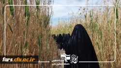 کاروان راهیان نور دانشجویی شهید چمران (خواهران) 9