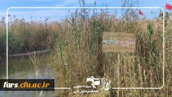 کاروان راهیان نور دانشجویی شهید چمران (خواهران) 13