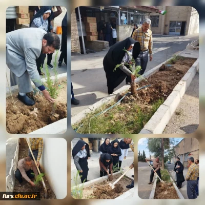 روز درختکاری در مرکز سلمان فارسی