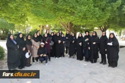 برگزاری همایش پیاده روی «سلامت و قدردانی» در شیراز  
 2
